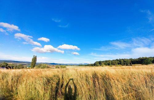 M&E Cztery pory roku Szklarka 25A - Foto 23