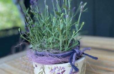 Ferienhaus Kleine Auszeit in der Natur mit Kamin, Yogamatten, schöne Küche - Foto 30