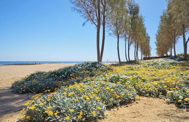 Sunrise Seaview Villas - Foto 46