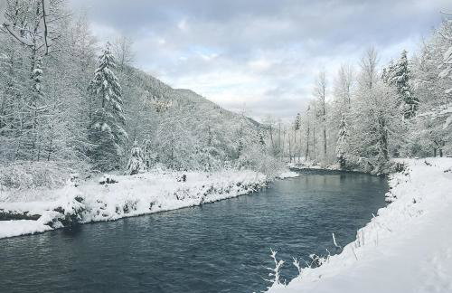 Salmon River Condo #5 - Foto 41