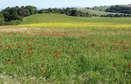 Terre de Crussol - Gite 3 étoiles en Ardèche, avec piscine et clim, 2-4 personnes - Photo 24