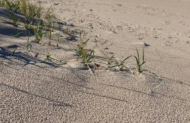 Apartament 9 Nina - Dębina - Foto 60