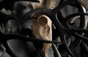 Freya Geo Dome Suite At El Mistico Ranch - Foto 14