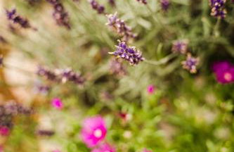 Plitvice Valley Apartments - Foto 47