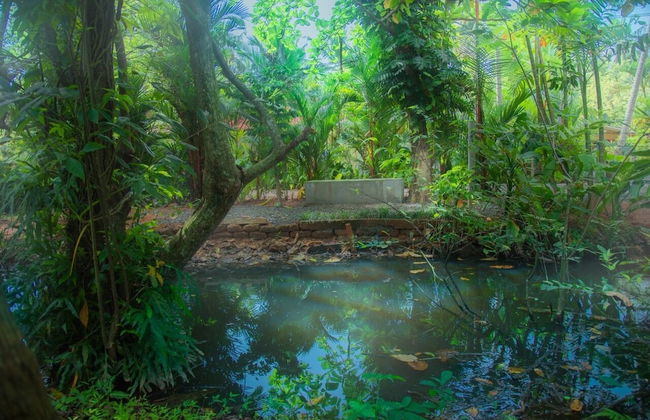 Villa Mandari - Foto 18