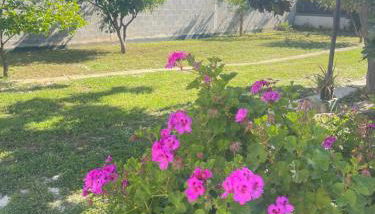 Villa Eden - Foto 5, Garden, Garden view