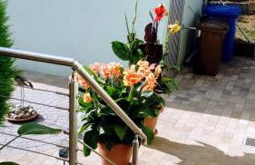 Ferienwohnung Seegarten - Foto 27