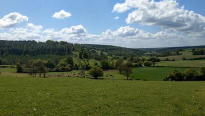 White Pond Farm - Foto 3