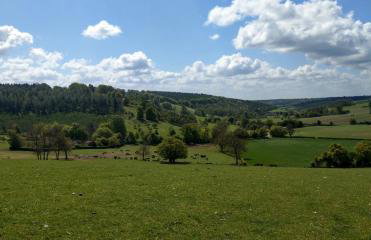 White Pond Farm - Foto 3