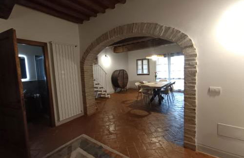 Podere Cedrola - Foto 60