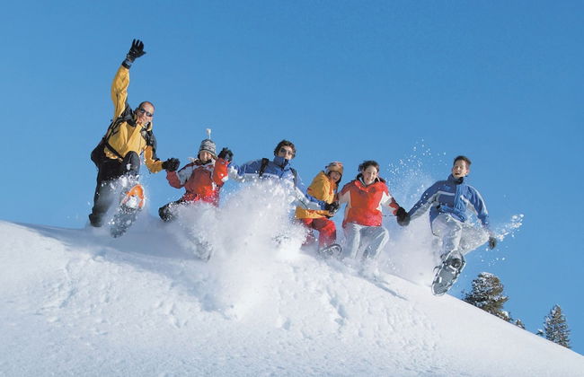 Apartment in Austria With Mountain Views - Photo 9