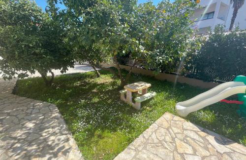 Apartmani Borex - Foto 22