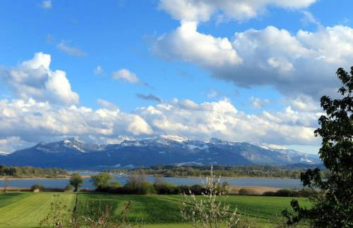 Dennenboomdroom - Foto 33