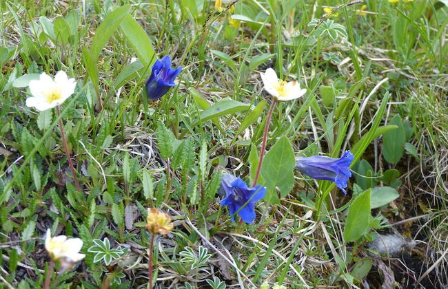 Spacious, Inviting Apartment Near Fussen in the Allgau Region in Bavaria - Foto 35