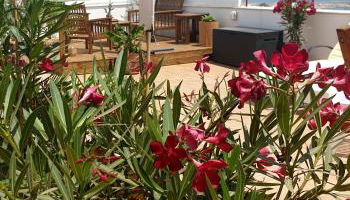 Appartement Super Terrasse Vue Panoramique Mer - Foto 5