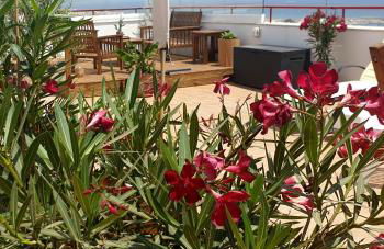 Appartement Super Terrasse Vue Panoramique Mer - Foto 5