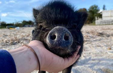 Villa Boeddu, relax tra mare e campagna - Foto 62