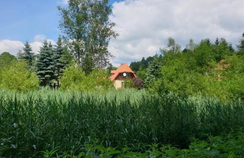 Zielony Zakątek - Foto 6