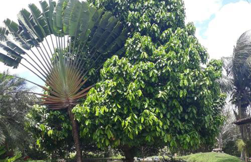 Rancho Refugio Verde AL - Foto 43