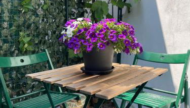 Grazioso monolocale - Foto 2