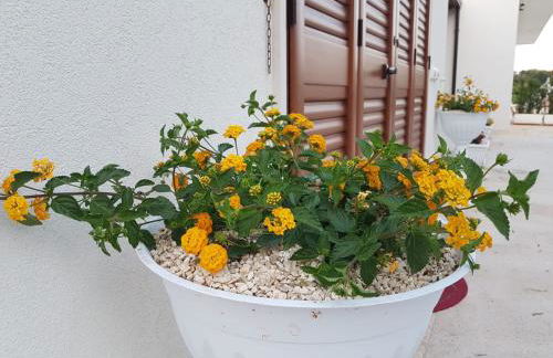 La casa di Colino e Annina - Foto 36