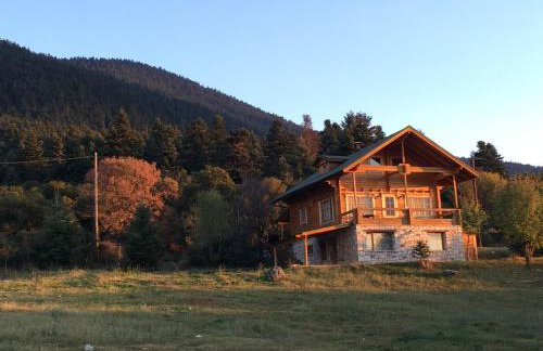 Vytina log house - Photo 21