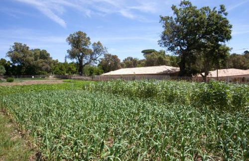 Relais du vieux sauvaire - Foto 61