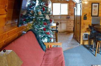 Cozy Bear Cabin Getaway - Foto 29