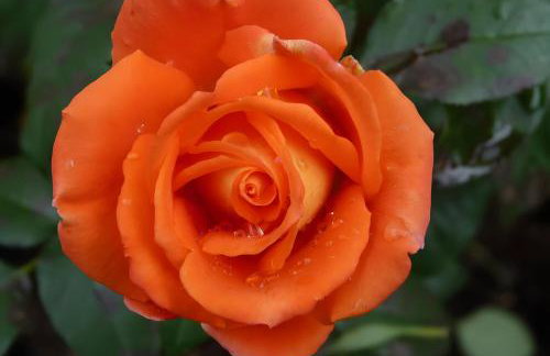 Gemütliche Ferienwohnung in Holzhau - Foto 21