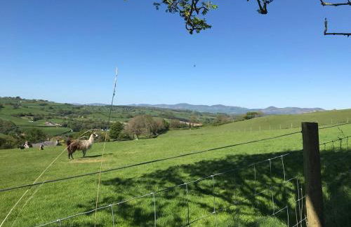 Converted Stone Barn -20 Acres - Farm Animals! - Photo 20