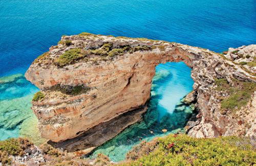 Aurora nest - Foto 24