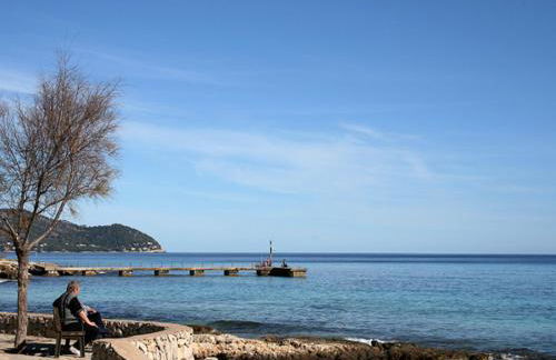 Calamilloraptm2 - Foto 37