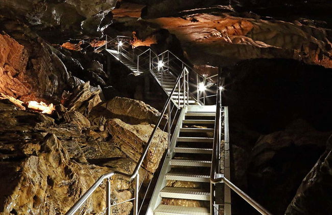 Visite guidée de la grotte d'Al Hoota - Photo 2