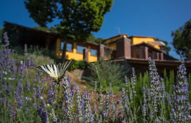 Comfortable Cottages in Loro Ciuffenna - Foto 76