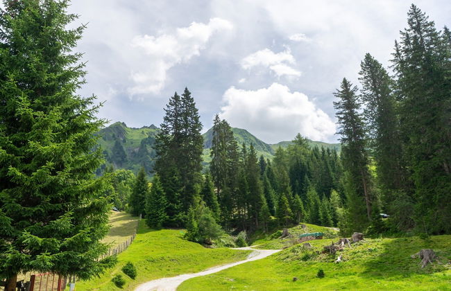 Apartment in Navis Near Stubai Glacier - Foto 11