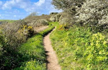 Just Opened. Romantic Clifftop Retreat - Foto 28