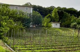AGRI ART - Foto 68