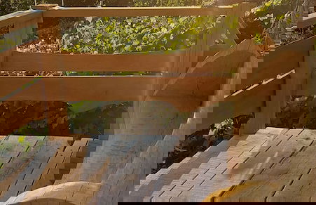 Vineyard cottage Stopar - Foto 9