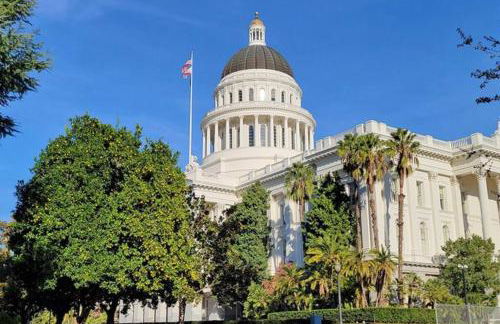 Artist's retreat near the heart of the city - Photo 16