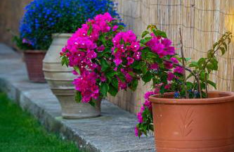 Meraki Cretan Hospitality - Foto 41