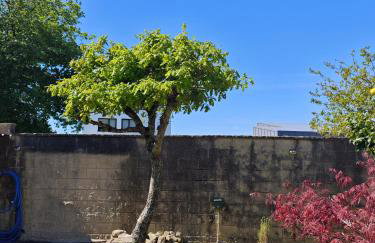 La Casa de las Ranas - Photo 51