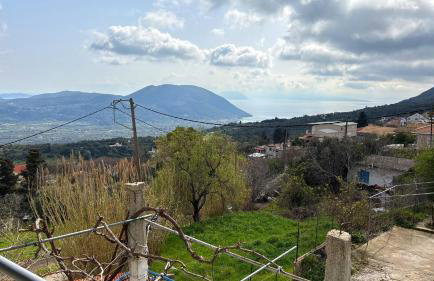 Grandmother's House - Foto 35