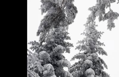 La terrasse des volcans - Foto 33