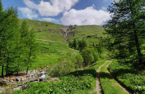 Les Hauts du Roux - Photo 14