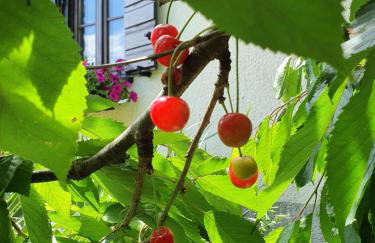 Holiday Home Demark - Foto 56