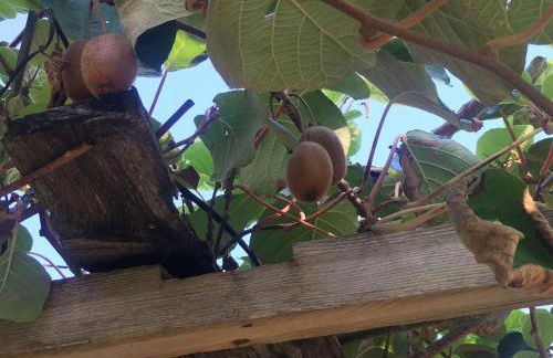 Gites Islacooldouce - Foto 12