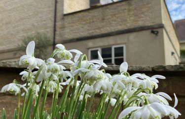 Bridge House Apartment. Luxury and cosy self contained apartment. - Photo 40