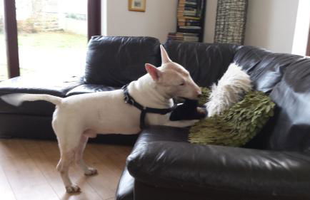 Hilltop Lodge - Foto 16