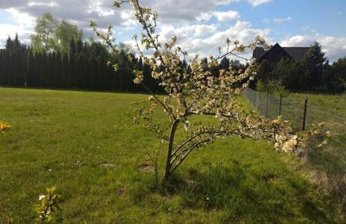 Domki Orla na Mazurach - Photo 43