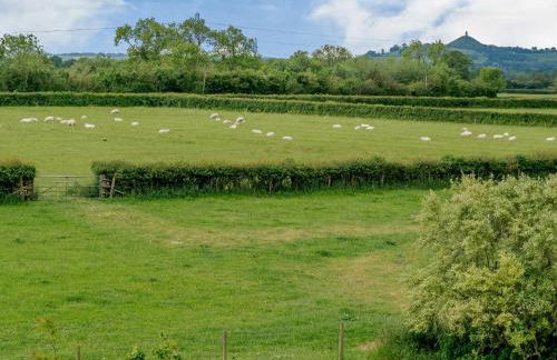 Mulberry Cottage - Foto 21